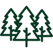 Three green pine trees on black background.
