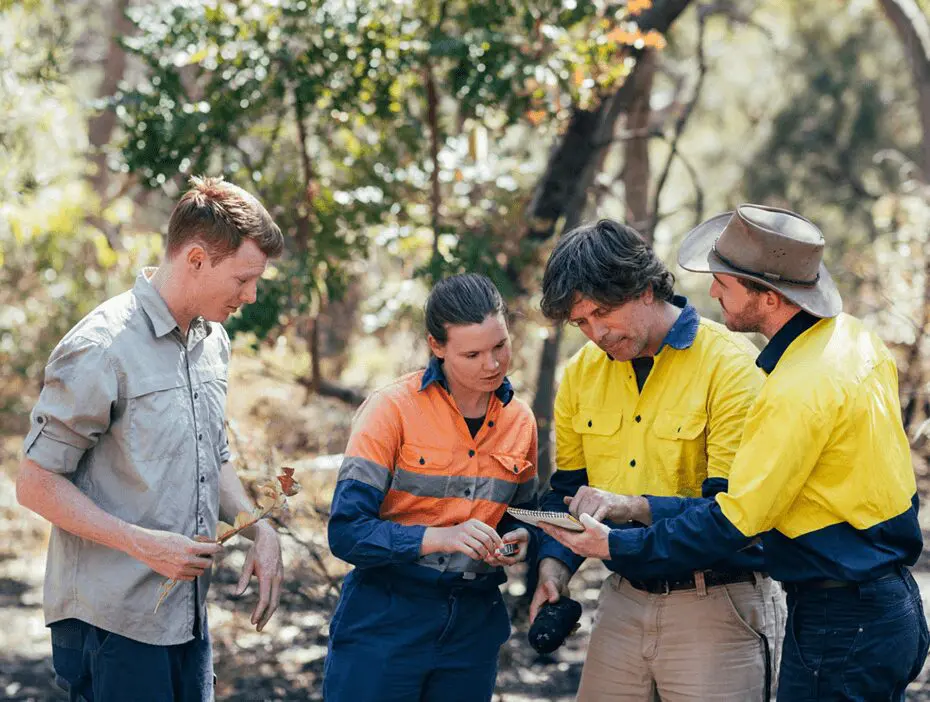 Four people examining objects in forest.