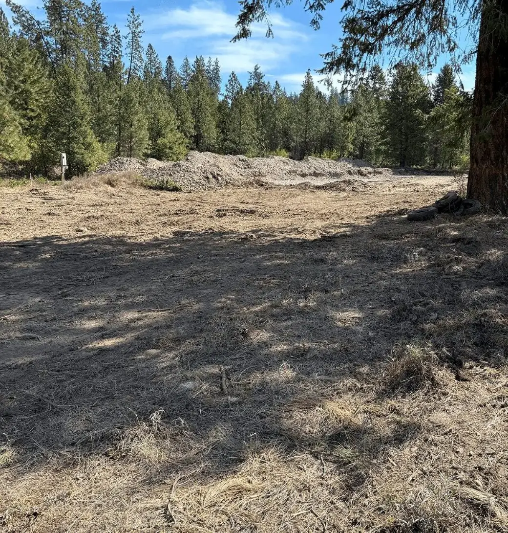 Dirt clearing with piled soil and pine trees